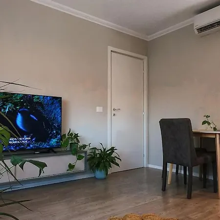 Flower 2 * 地拉那